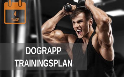 Doggcrapp Trainingsplan