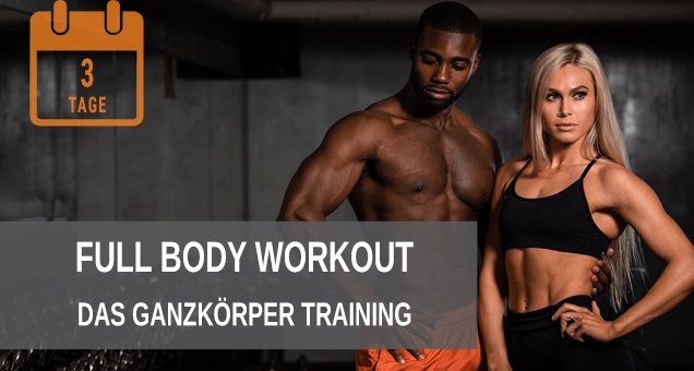 Full Body Trainingsplan zum Muskelaufbau