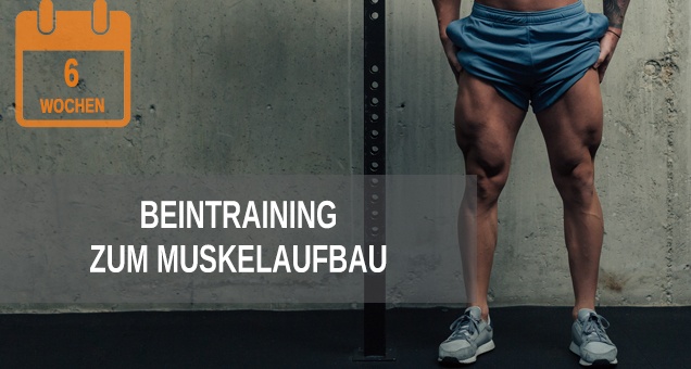 Beintraining zum Muskelaufbau, Trainingsplan Beine