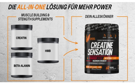 creatine-sensation-all-in-one