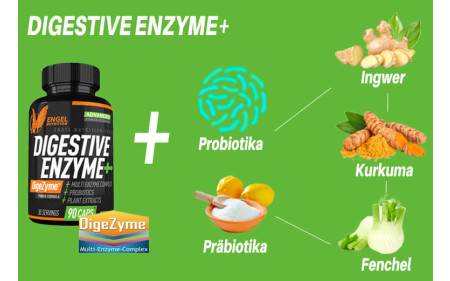 engel-nutrition-digestive-enzyme-inhaltsstoffe