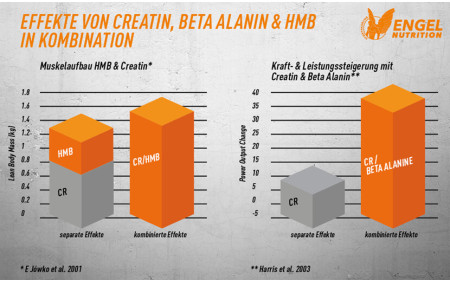 wirkung-creatin-kombinationen