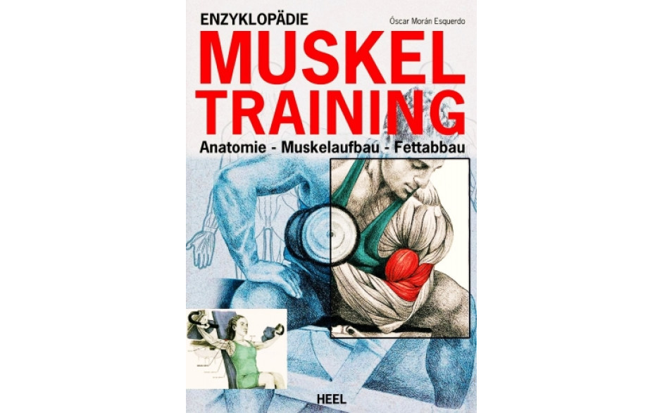 Enzyklopädie Muskeltraining