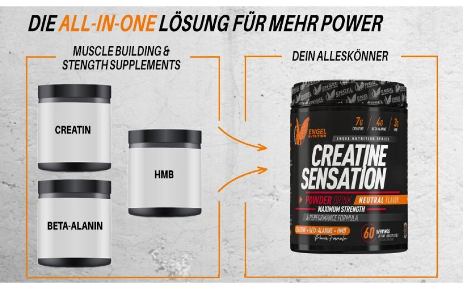 creatine-sensation-all-in-one