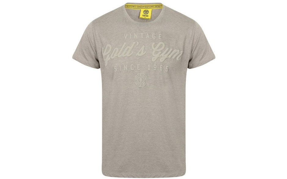 Golds Gym Emboss Print T-Shirt - Grey