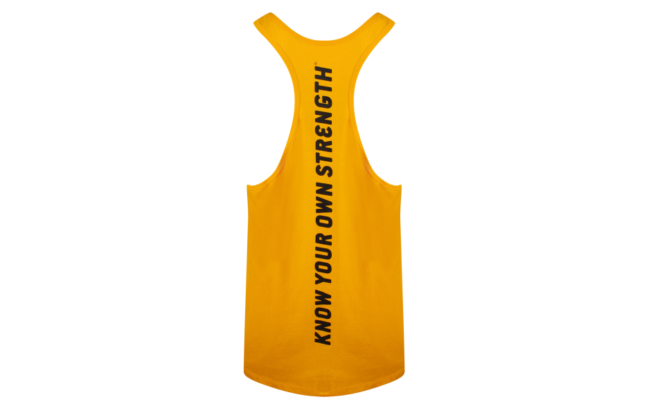 golds_gym_muscle_joe_slogan_premium_tank_top