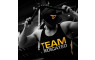 dedicated_stringer_team3