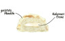 esn_designer_bar_almoundcoconut