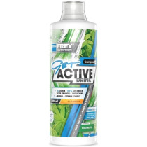 FREY NUTRITION GET ACTIVE DRINK 1000ml - Waldmeister - Restposten