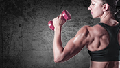 Muskelaufbau Trainingsplan für Frauen