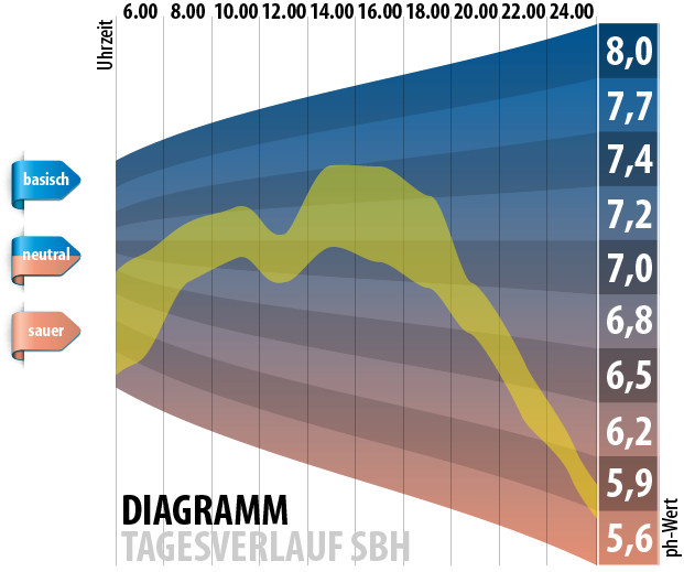 Säure Basen Haushalt