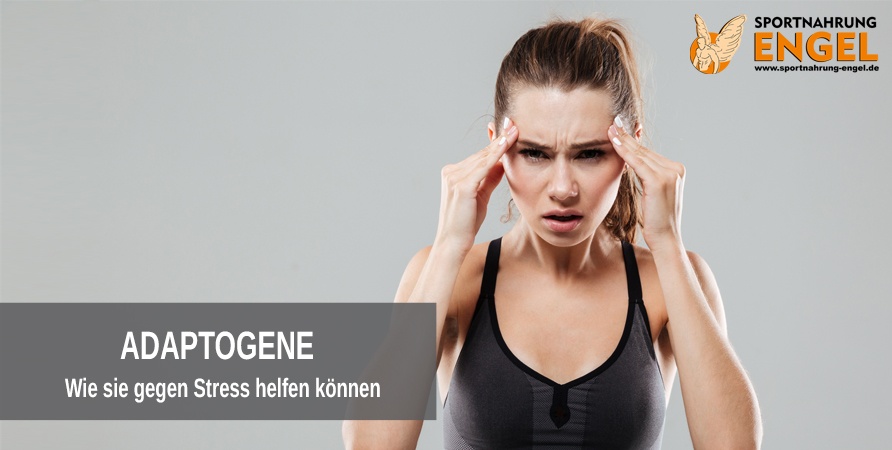 Adaptogene gegen Stress