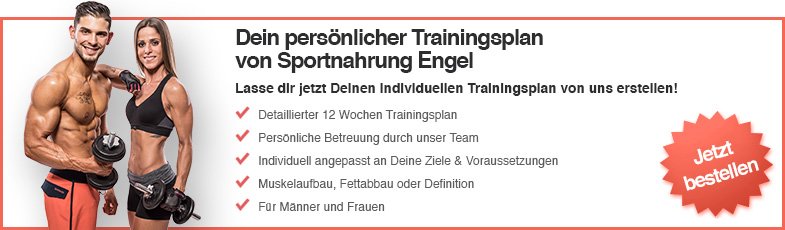 Trainingsplane Fur Muskelaufbau Und Fettabbau Gratis