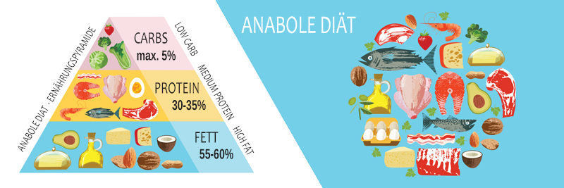 Anabole Diät welche Lebensmittel werden gegessen die Ernährungspyramide