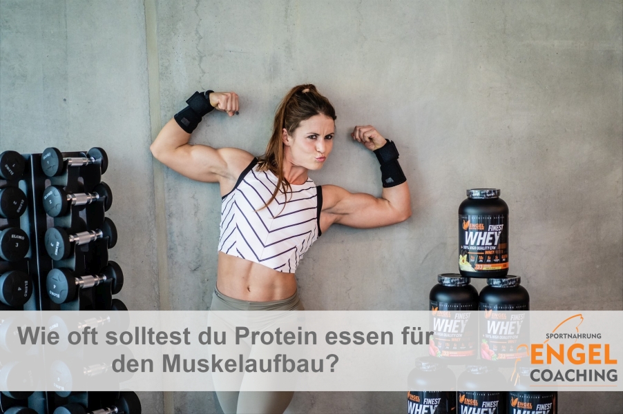 Wie oft solltest du Protein essen für den Muskelaufbau?