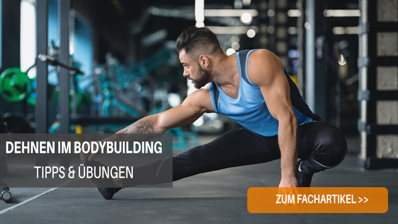 Dehnübungen für Bodyuilder