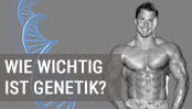 Wie wichtig ist Genetik beim Muskelaufbau?