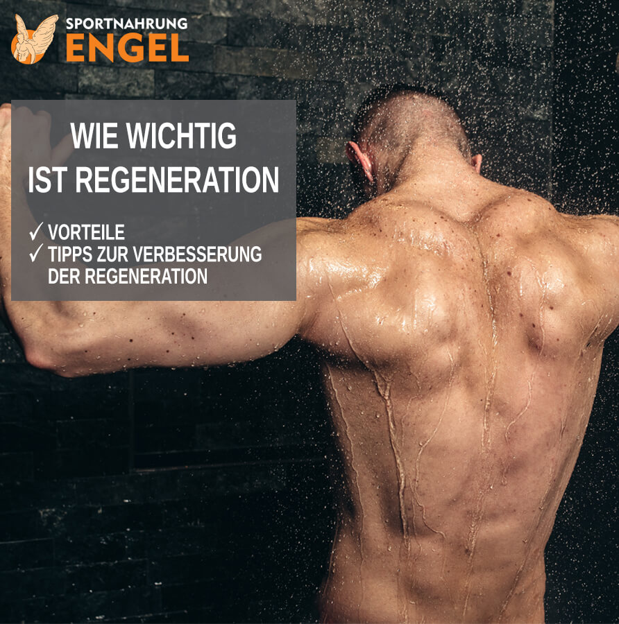 Wie wichtig ist Regeneration?