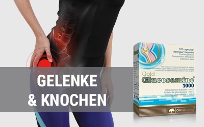 Gelenke & Knochen