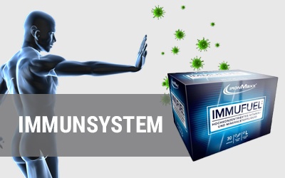 Immunsystem