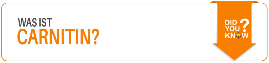 Wissenswertes über die Aminosäure L-Carnitin