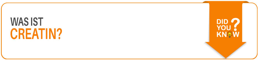 Creatin für Sportler im Fitness Lexikon erklärt