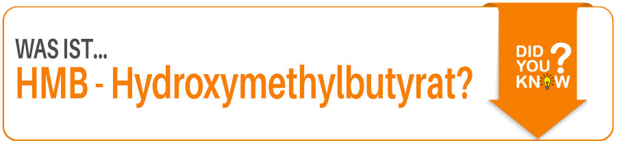 Was ist Hydroxymethylbutyrat
