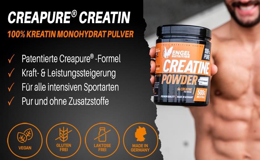 Engel Nutrition Banner Creatin