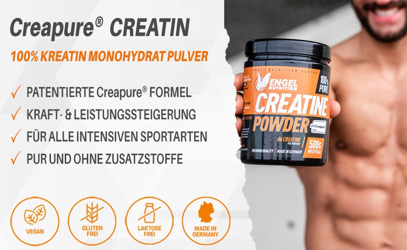 Engel Nutrition Banner Creatin