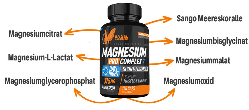 7 Magnesium Formen im Engel Nutrition Magnesium Pro Complex