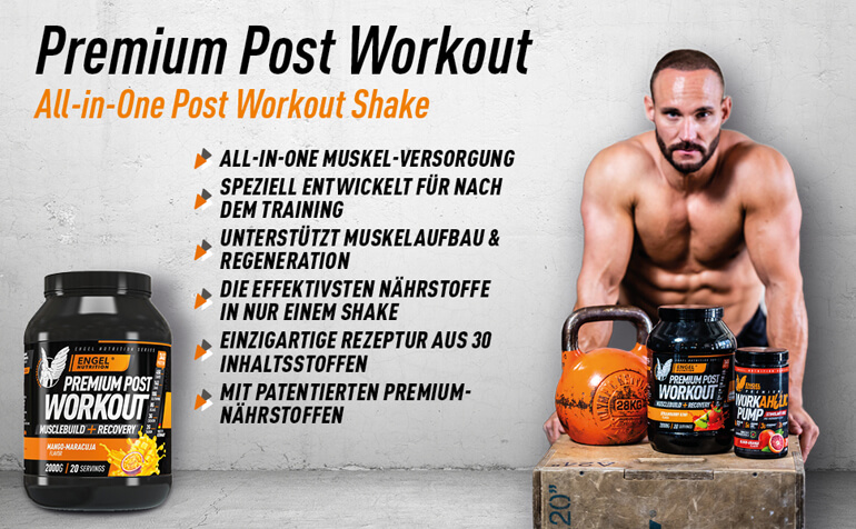 Banner Engel Nutrition Premium Post Workout LG