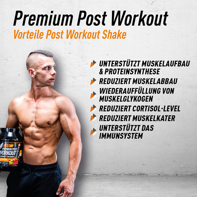 Vorteile Engel Nutrition Premium Post Workout LG