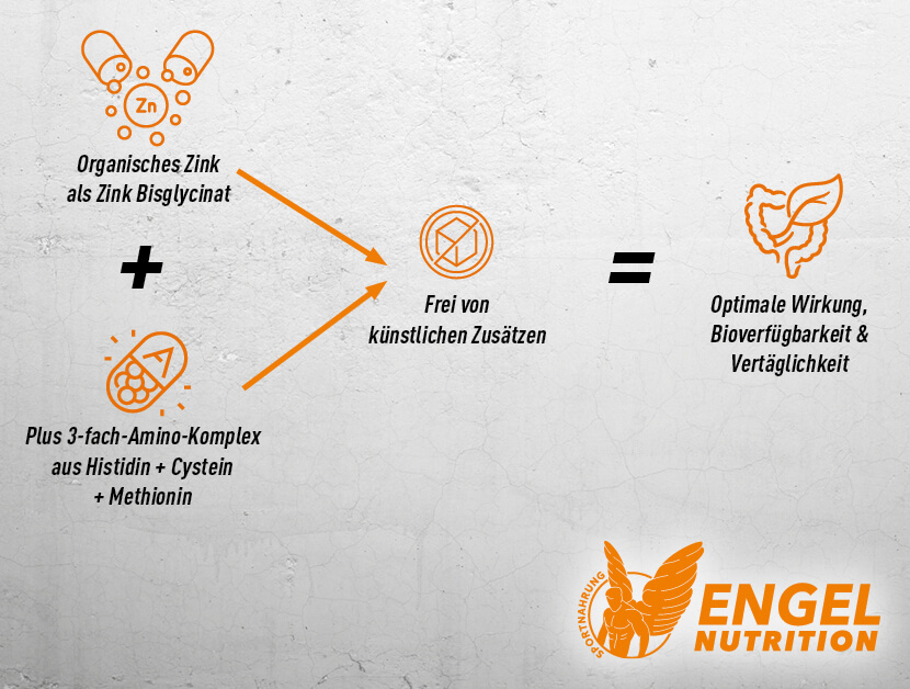 Engel Nutrition Zinc hohe Bioverfügbarkeit XS