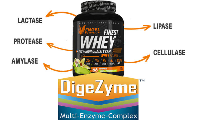 Finest Whey enthält Digezyme