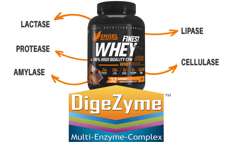 Finest Whey enthält Digezyme