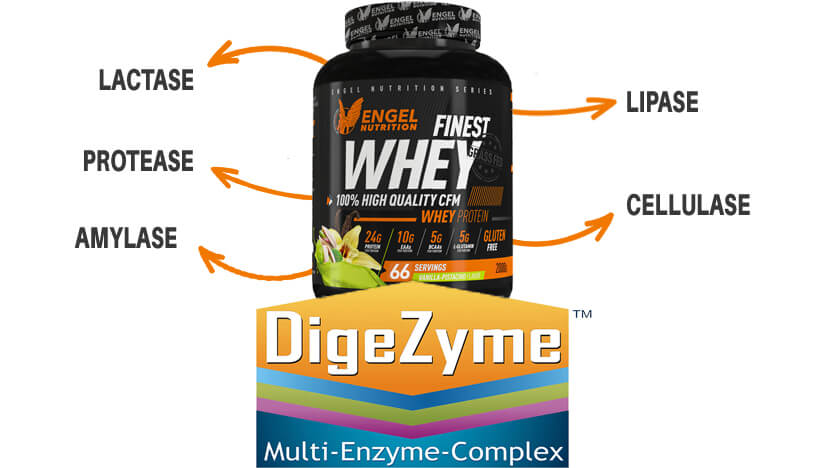 Digezyme Finest Whey Engel Nutrition