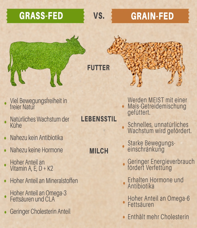 Unterschiede und Vorteile von Grass Fed zu Grain Feed Kühen