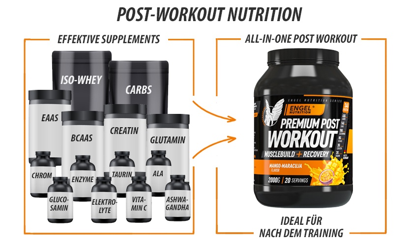 Vorteile Engel Nutrition Premium Post Workout