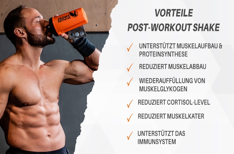 Vorteile Engel Nutrition Premium Post Workout LG