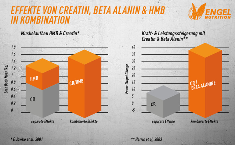 Wirkung Creatin und Beta Alanin + HMB LG