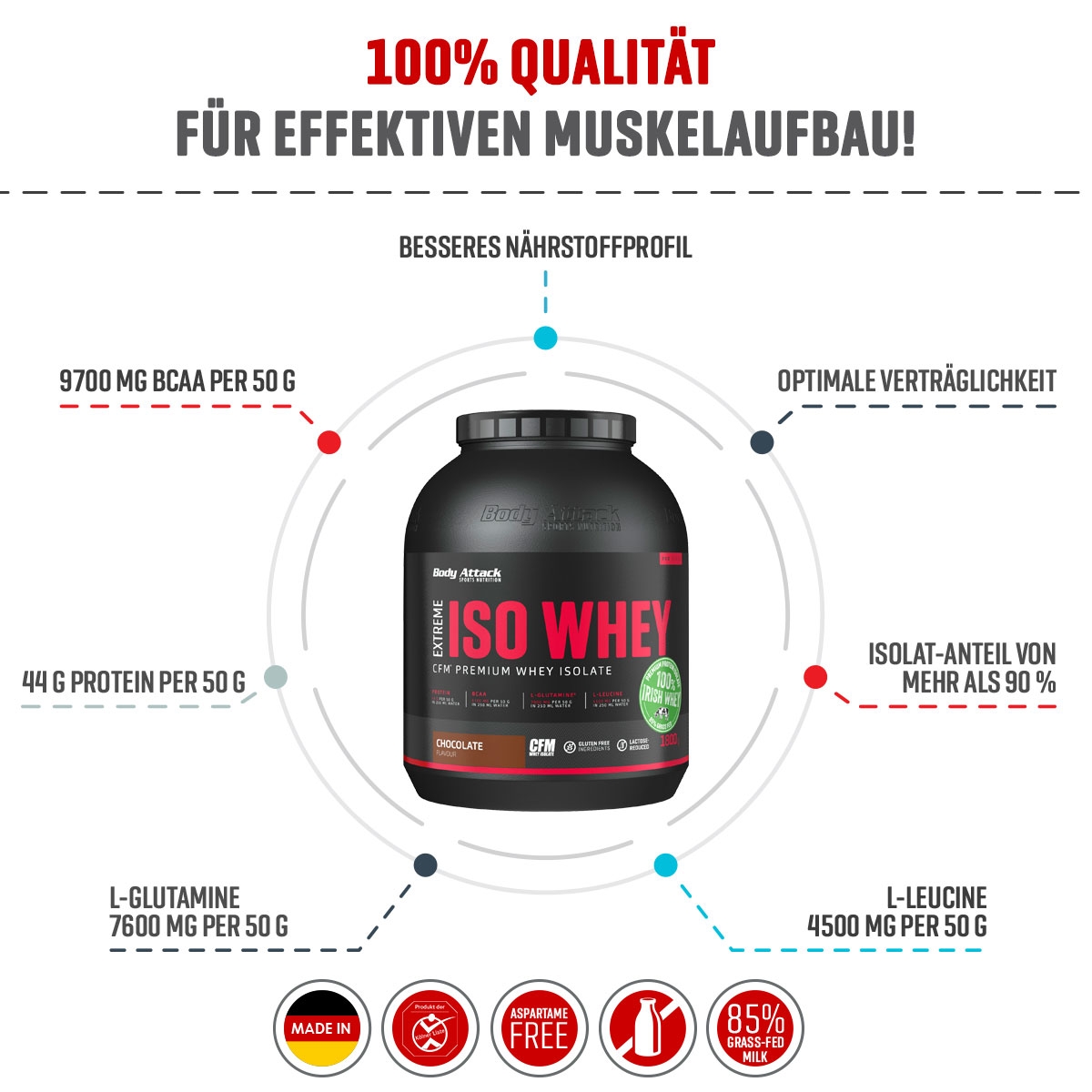 Iso Whey Protein zum Muskelaufbau