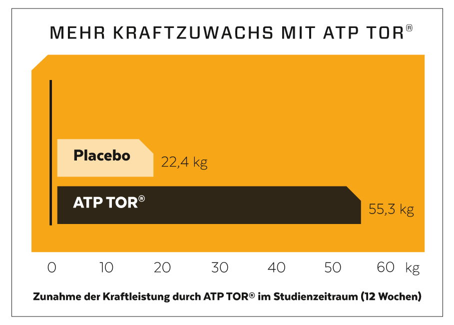 ATP für mehr Kraft