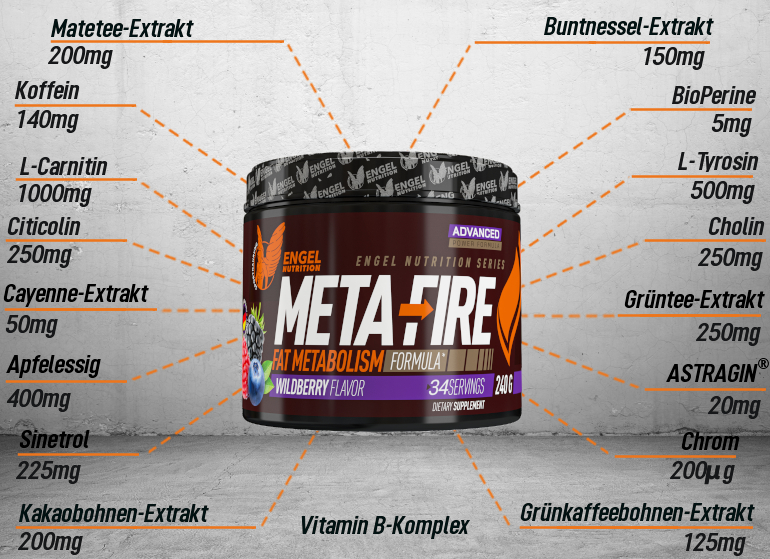 META FIRE Inhaltsstoffe META FIRE Inhaltsstoffe