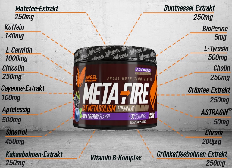 META FIRE Inhaltsstoffe META FIRE Inhaltsstoffe