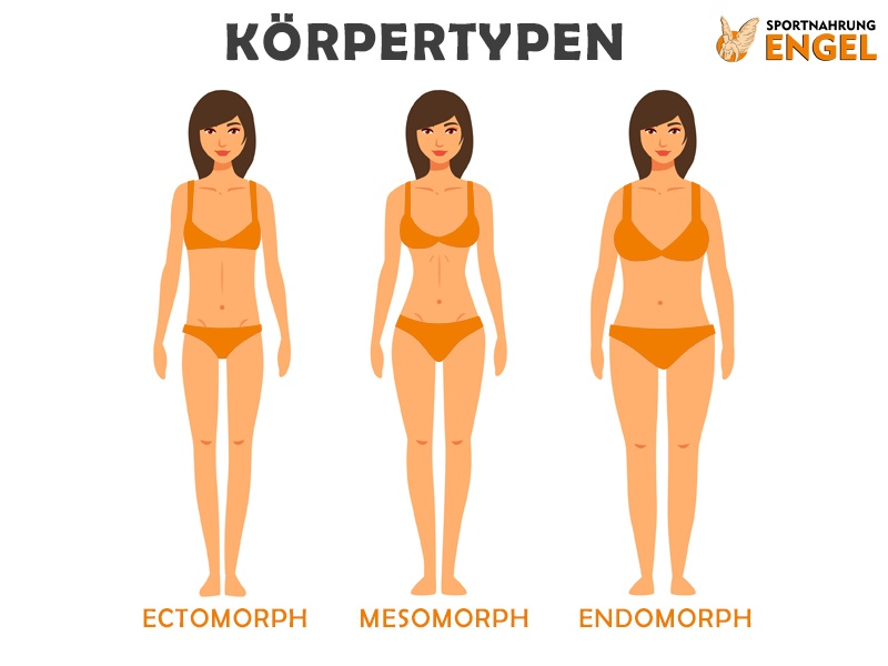 Frauen Körpertypen Ektomorph, Mesomorph und Endomorph