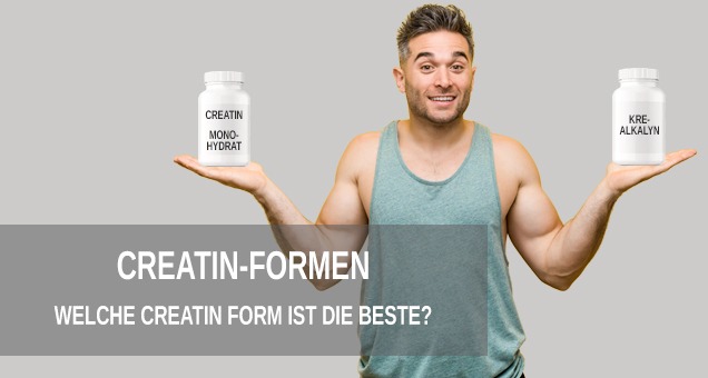 kreatinformen im Überblick
