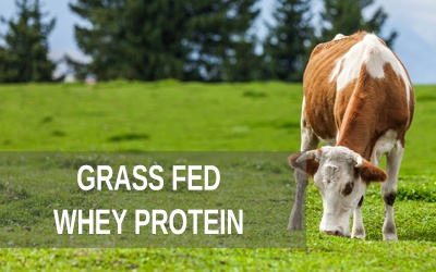 Grass Fed Wheyprotein