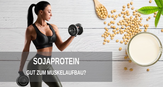 Sojaprotein gut zum Muskelaufbau