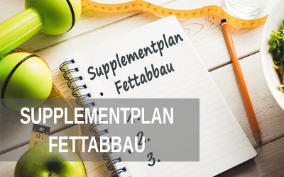 Supplementplan Fettabbau