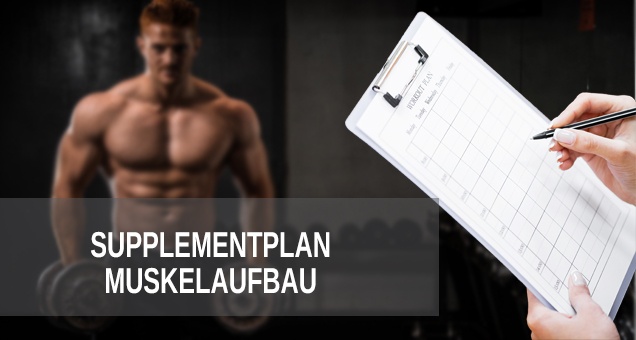 Supplementplan Muskelaufbau